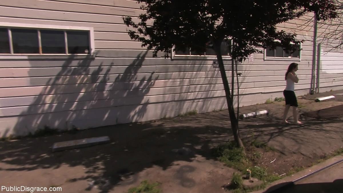 Babe gets tied up and fucked in real public bookstore #71969425