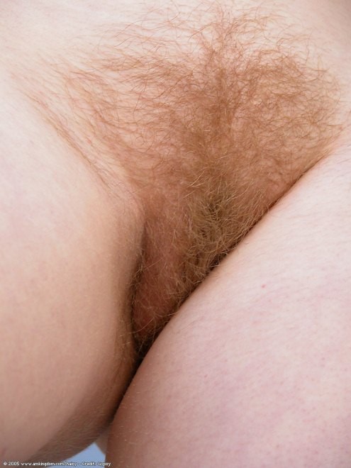 Hairy Pussy Redhead With Firm High Titties n Freckles #77324695