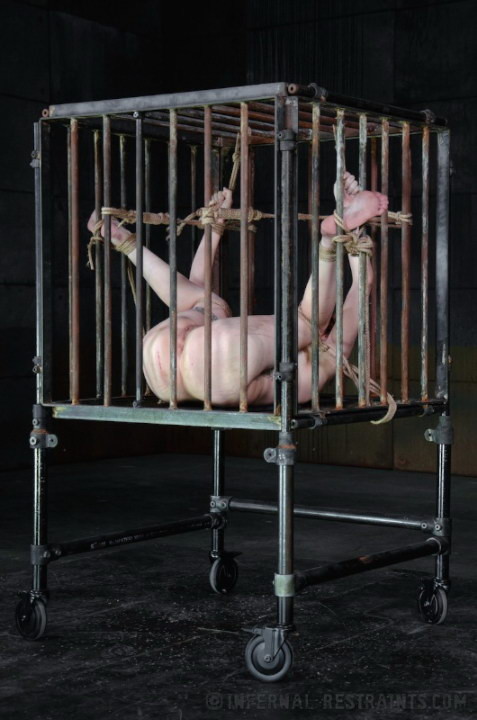 Nippelringe sind ein sicheres Zeichen dafür, dass ein Mädchen auf einen heißen Typen steht.
 #71898020