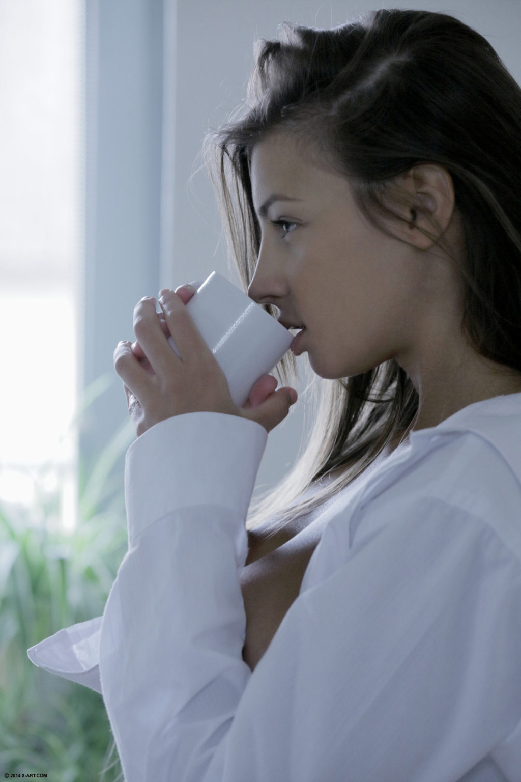 Wunderschöne Brünette Babe Elena Stripteasing in der Küche
 #70800445