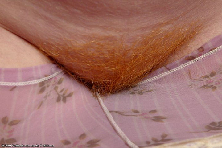 Femme rousse plus âgée dénudant sa pleine touffe rousse cuivrée et scintillante
 #77315387