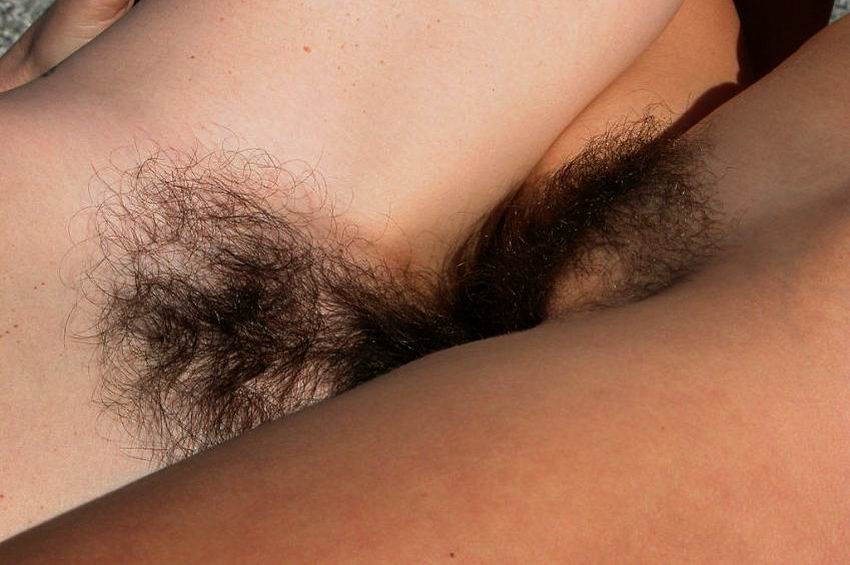 beautiful girls with hairy pussies #72348640