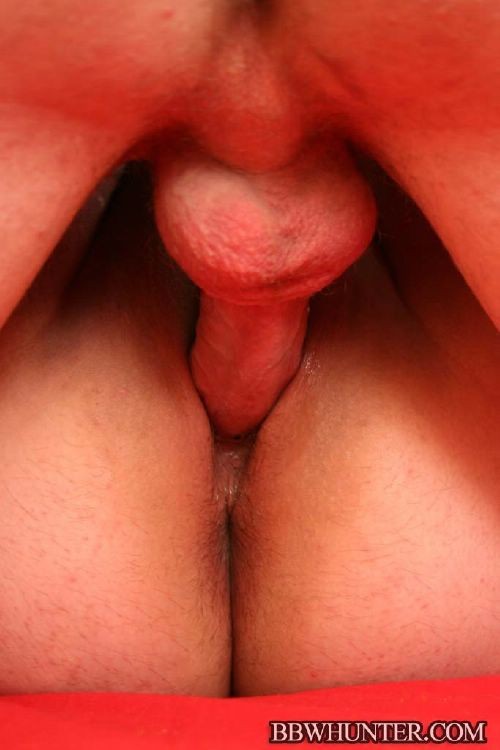 Hermosa gordita cabalgando salvajemente una enorme polla en el dormitorio
 #75555547