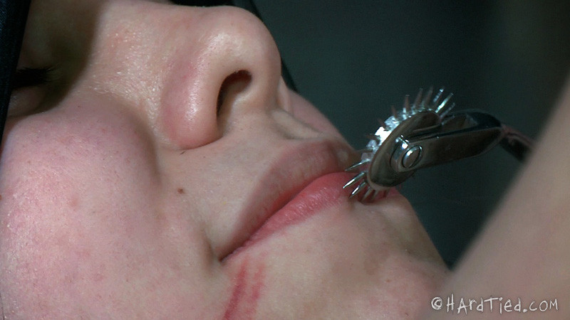 Cruel acción bdsm
 #68978089