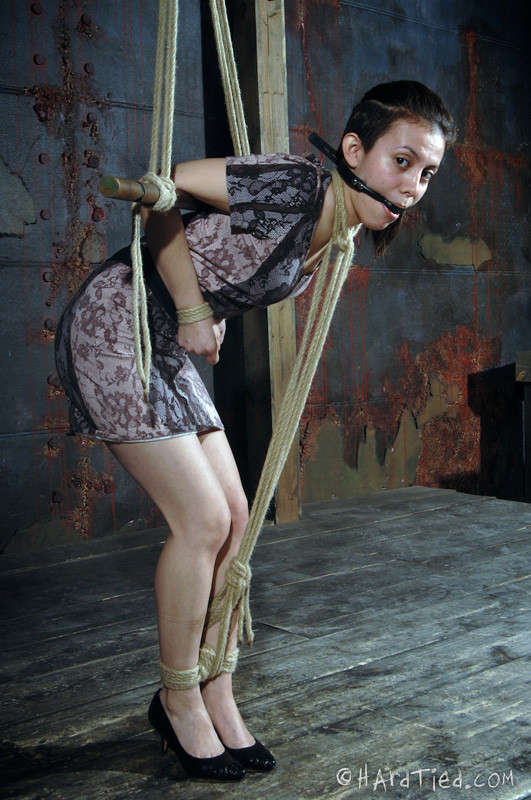 Cruel acción bdsm
 #68978128