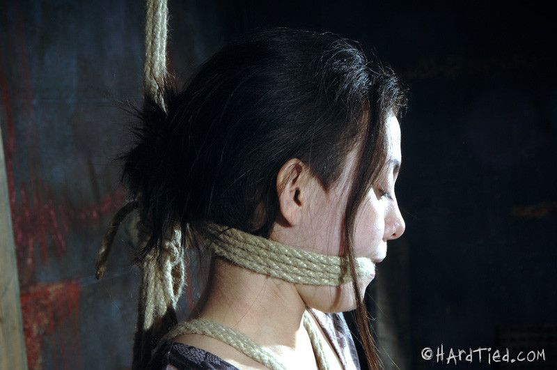 Cruel acción bdsm
 #68978172