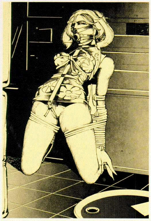 vintage female leather and rope bdsm art #69713604