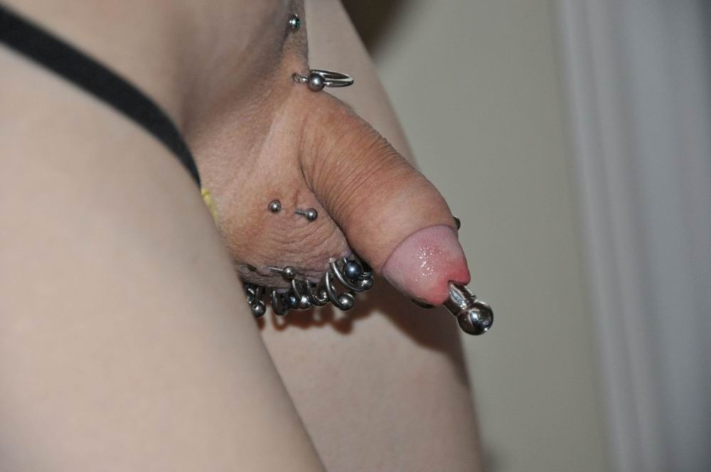 extremely pierced cocks and balls #73232429
