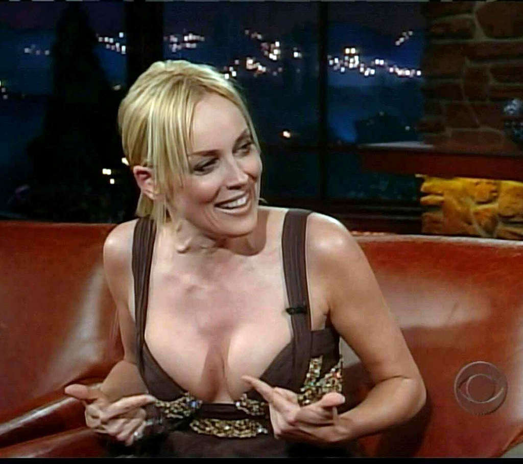 Sharon Stone showing her sweet and sexy pussy under skirt #75362573