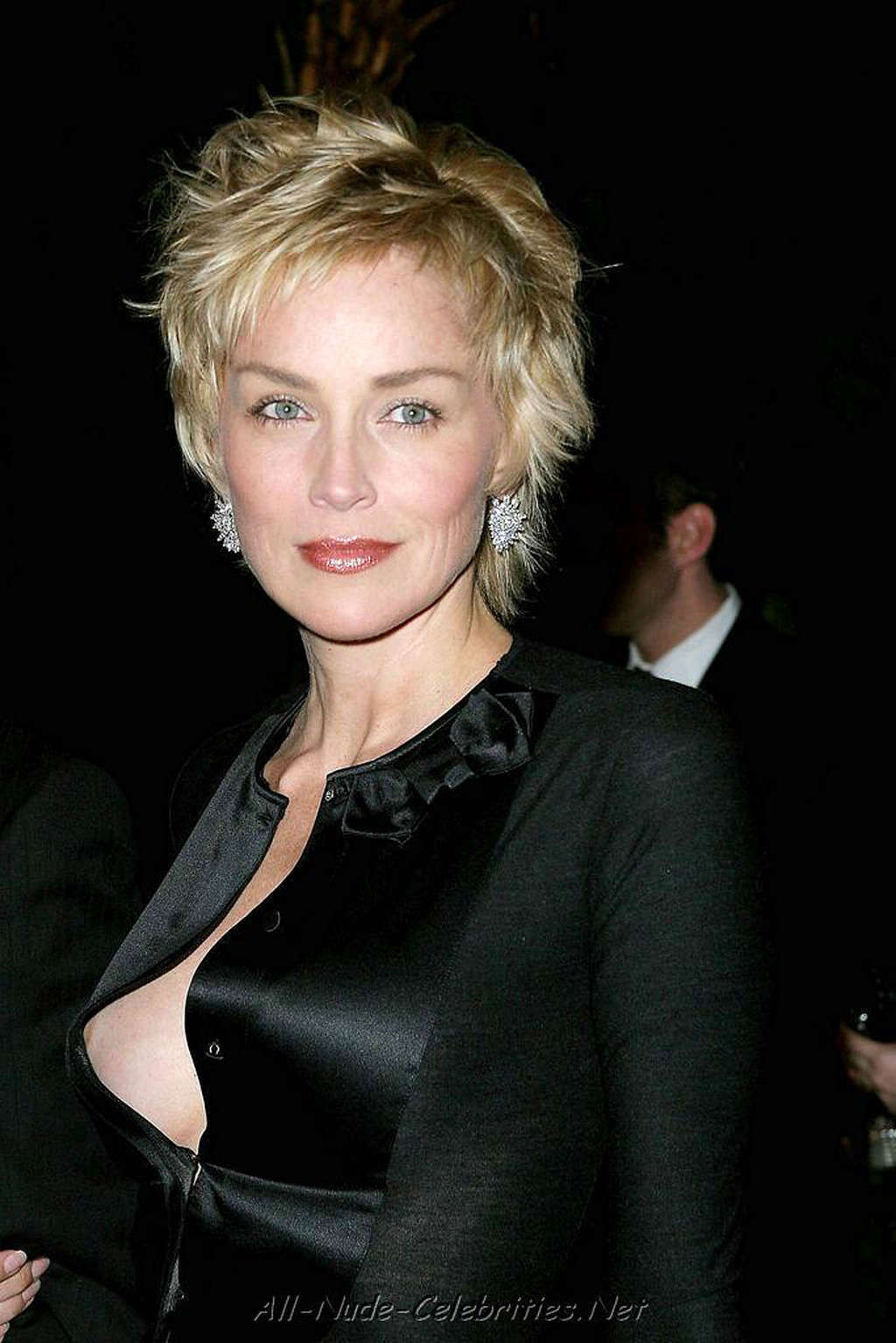 Sharon Stone showing her sweet and sexy pussy under skirt #75362606