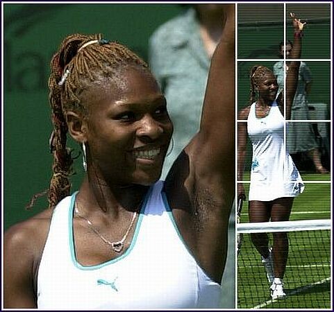 nubian tennis powerhouse Serina Williams bikini and see thru blouse #73388621
