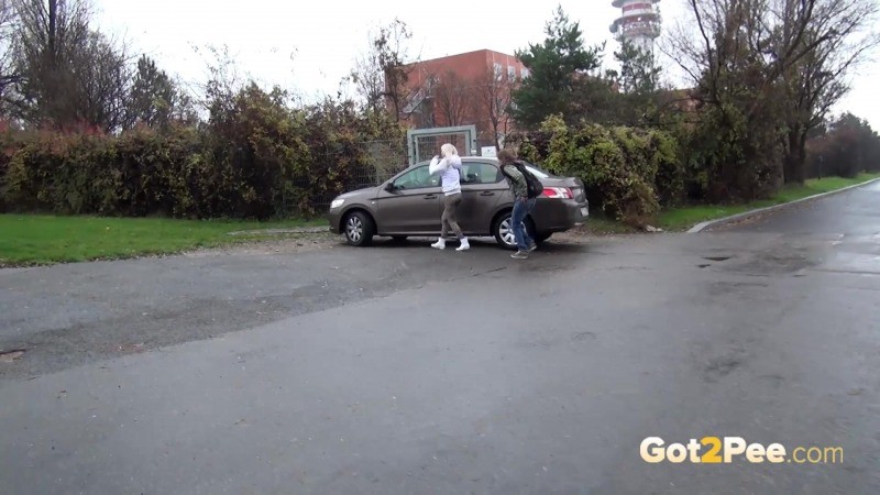 Zwei Freunde pissen hinter einem geparkten Auto
 #67456968