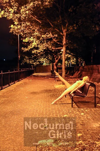 Rubia posando desnuda en la noche al aire libre
 #73515219