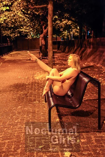 Rubia posando desnuda en la noche al aire libre
 #73515227