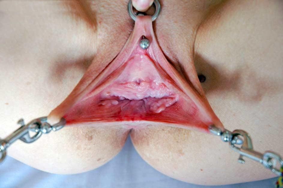extremely pierced and bondaged pussies #71868208