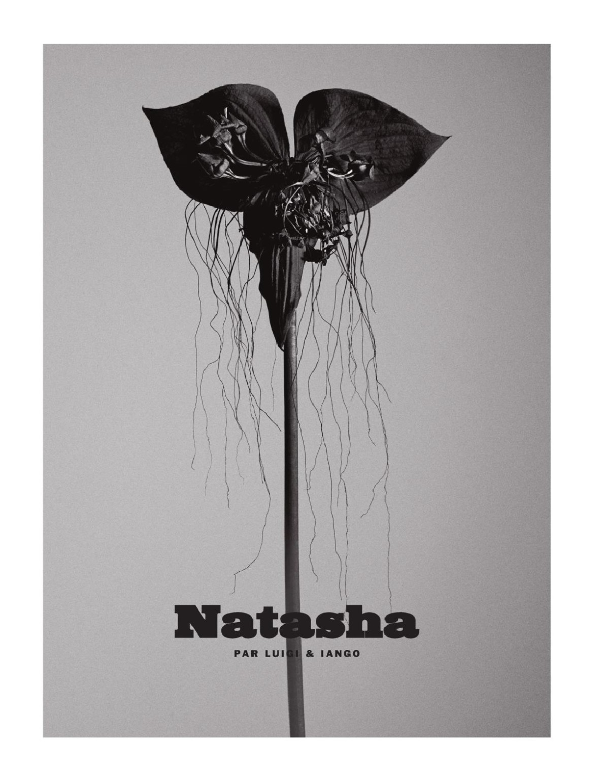 ナターシャ・ポリがLui誌2015年3月号でマンコと小さなおっぱいを披露
 #75172155