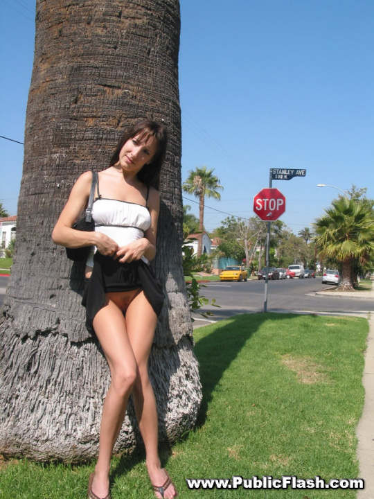 Dumb leggy Küken ausgetrickst in blinkende ihre Titten und rosa Bits
 #78914379