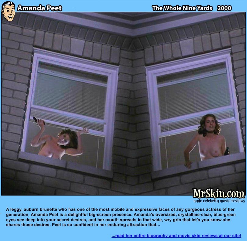 Boobs of Amanda Peet #71521320