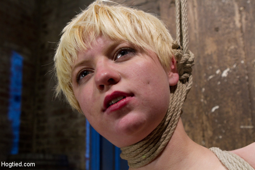 La joven e inocente Alani Pi es sometida a una serie de ejercicios de bondage.
 #72009670
