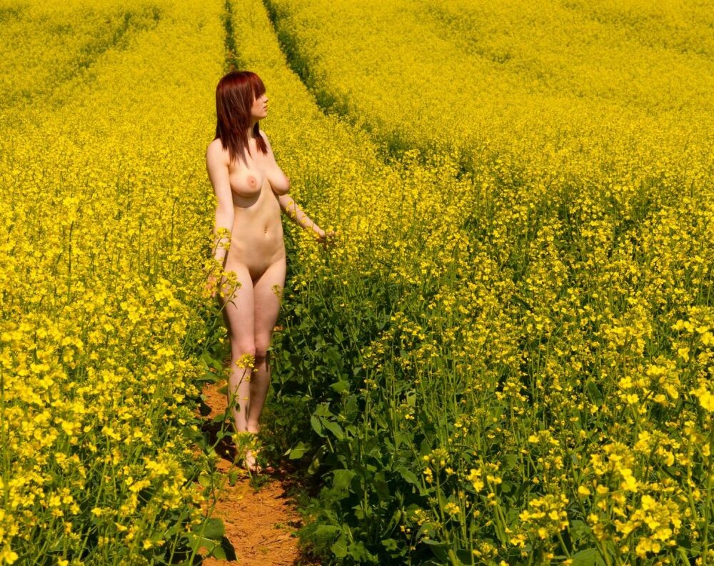 Big tit gfs exposing thier busty bodies gallery  2 #67749630