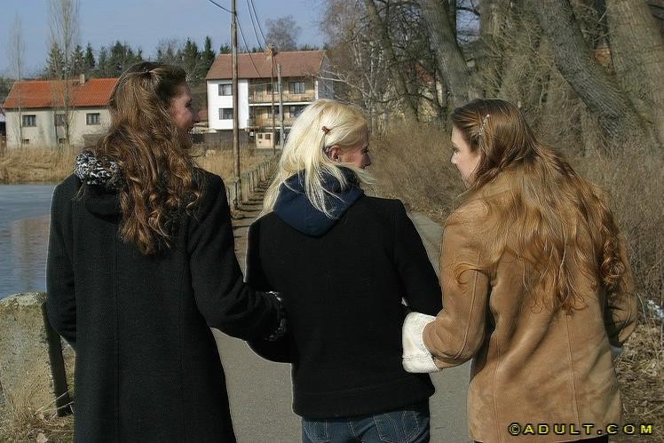 Trois mignonnes lesbiennes enjouées se promenant dans le parc
 #74037273