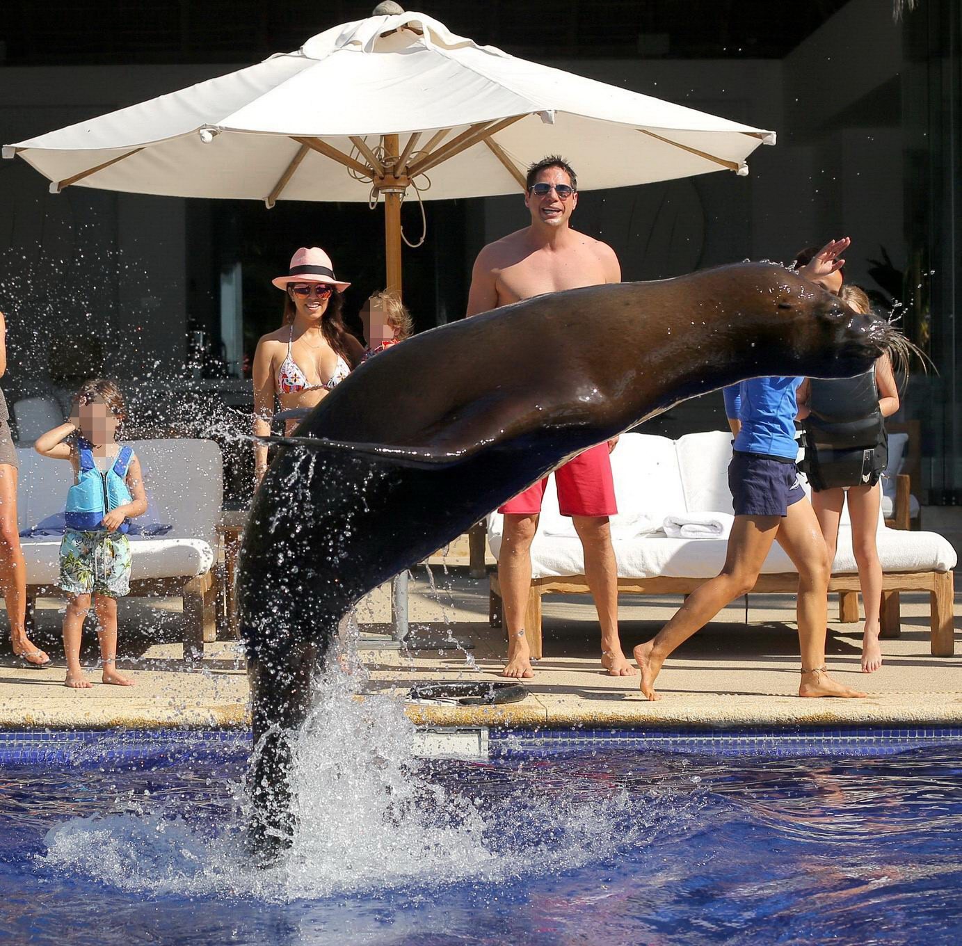Kourtney Kardashian en bikini embrassant un phoque à la piscine au Mexique
 #75205727