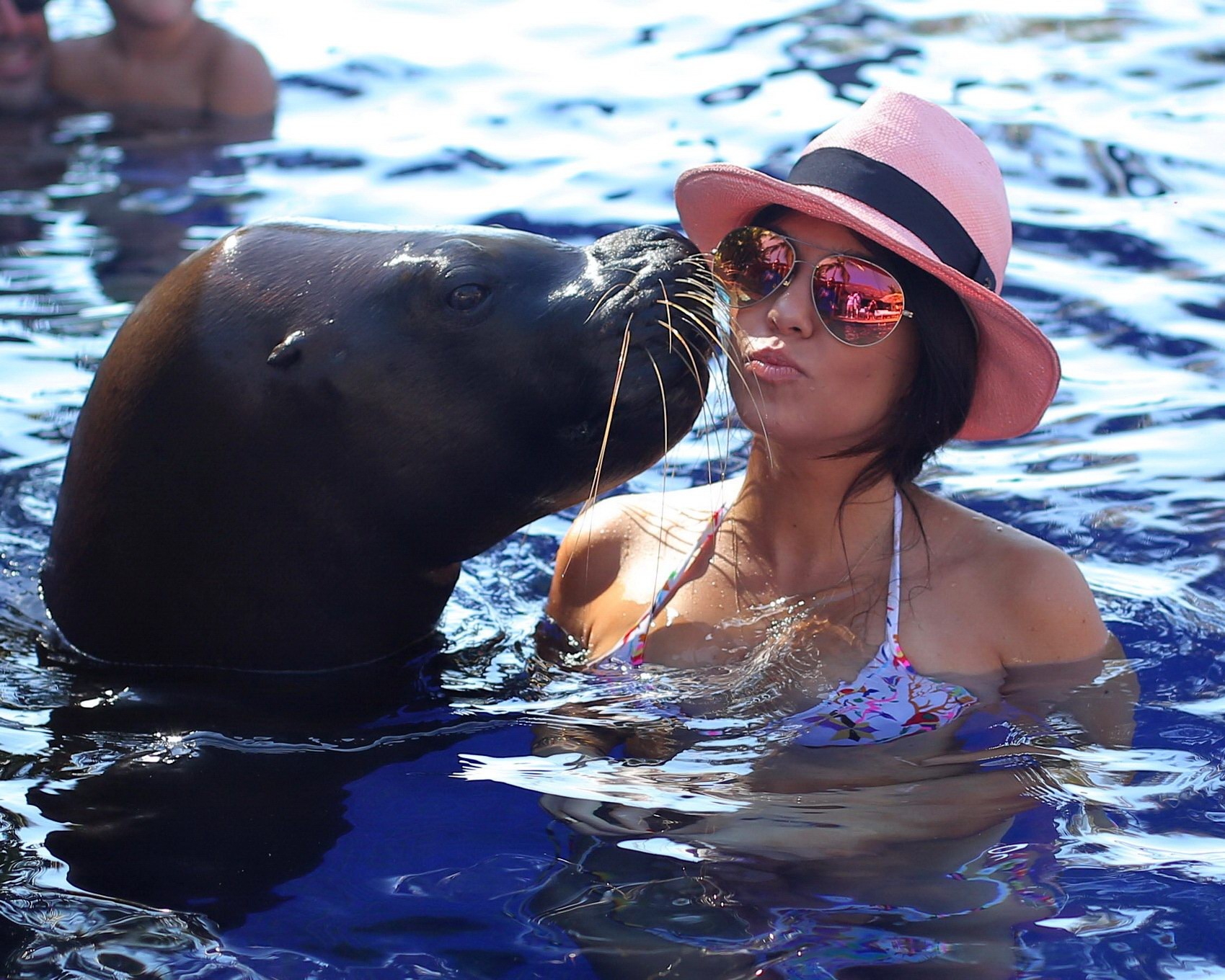 Kourtney Kardashian im Bikini beim Rummachen mit einem großen Seehund am Pool in Mexiko
 #75205768