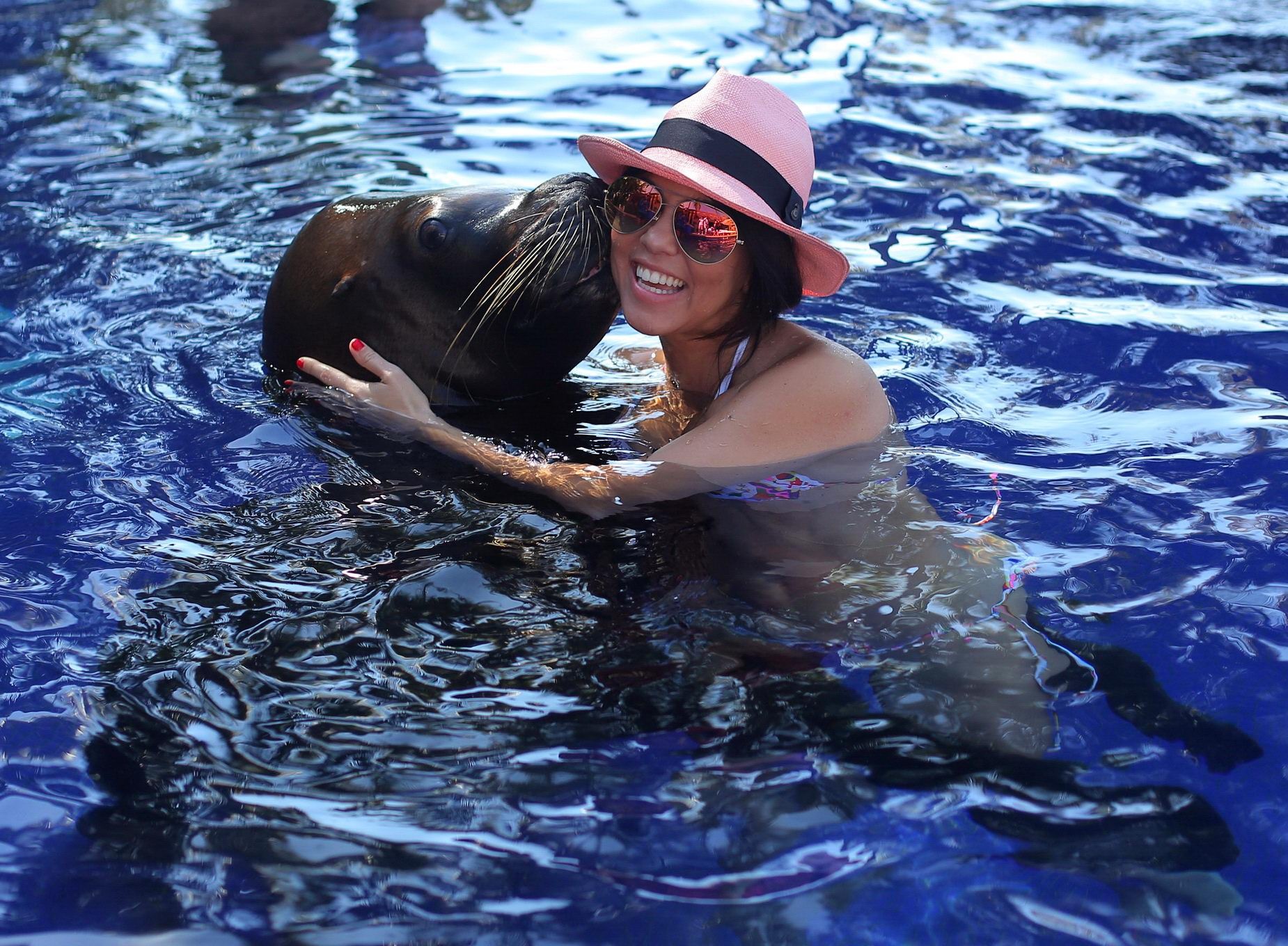 Kourtney Kardashian im Bikini beim Rummachen mit einem großen Seehund am Pool in Mexiko
 #75205805