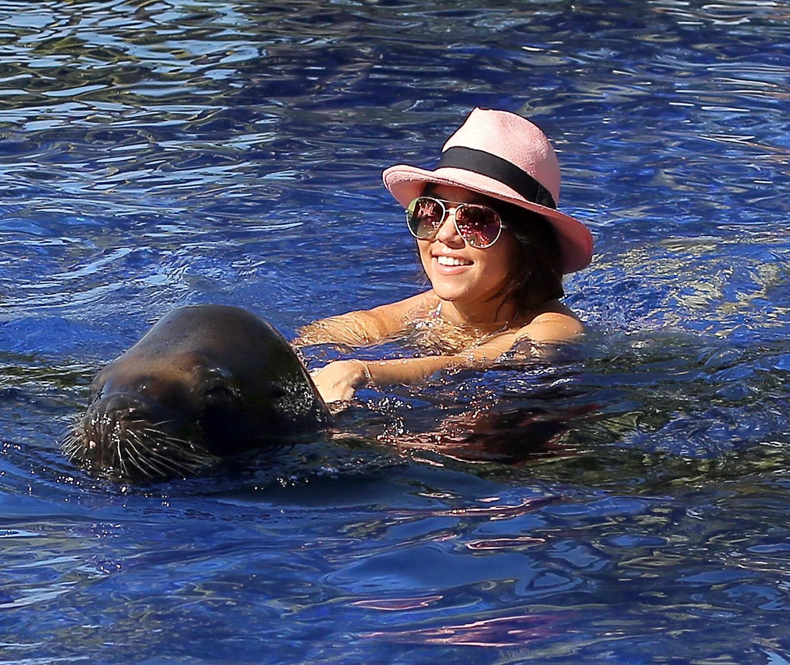 Kourtney Kardashian im Bikini beim Rummachen mit einem großen Seehund am Pool in Mexiko
 #75205825