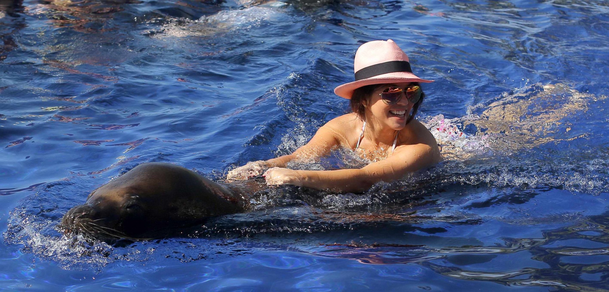 Kourtney Kardashian in bikini che fa fuori con una grande foca alla piscina in Messico
 #75205838