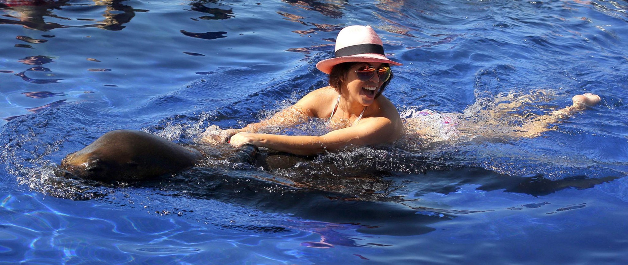 Kourtney Kardashian en bikini embrassant un phoque à la piscine au Mexique
 #75205842