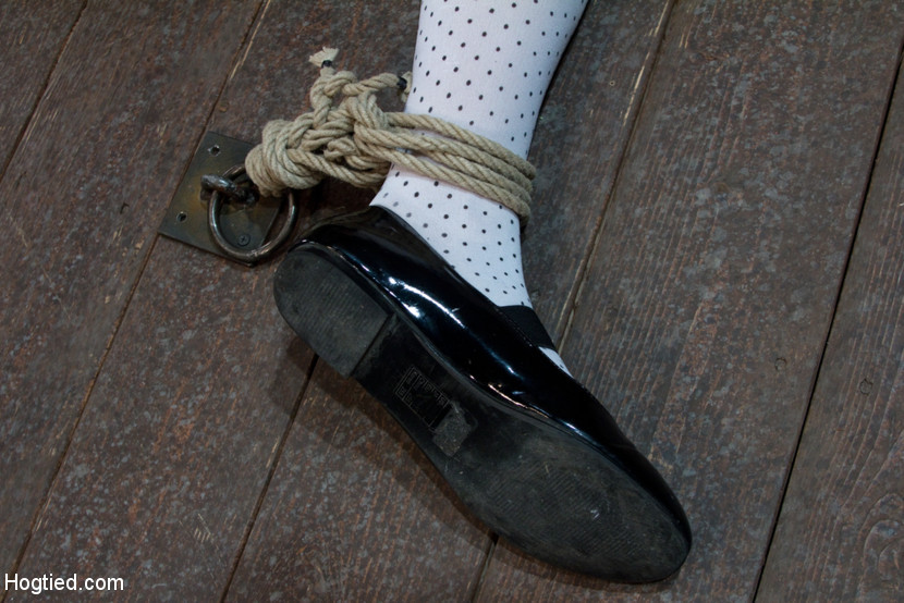 Amber rayne en thigh highs codos atados togeter
 #71911043