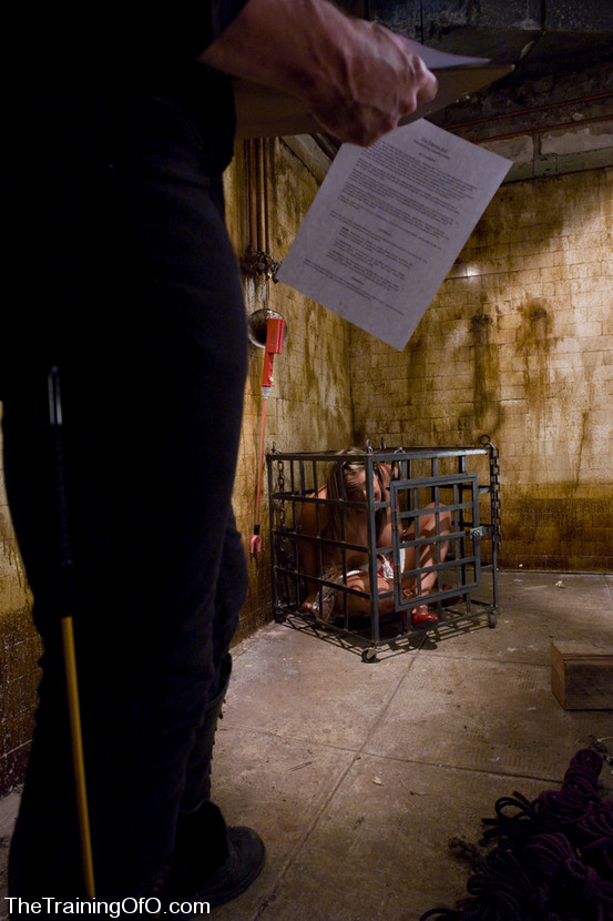 Precioso esclavo tetas burlado y entrenado
 #72151361