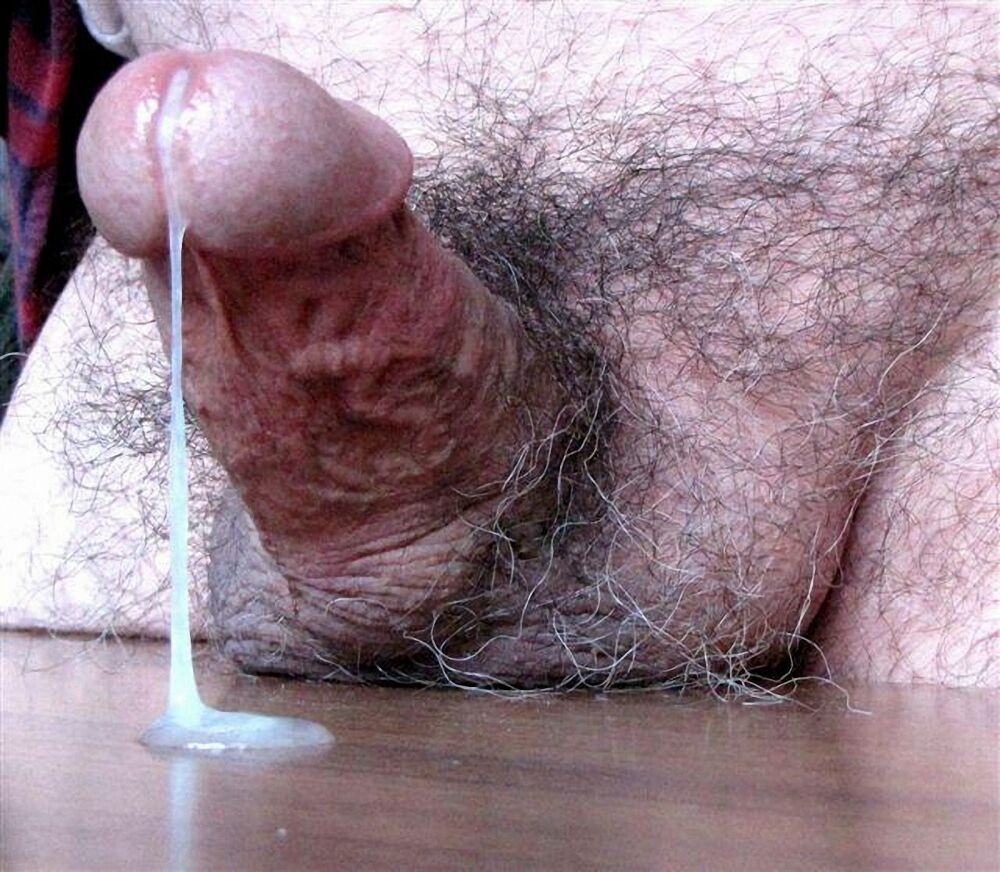 Hairy bear bfs posing and jerking off cock gallery 20 #76921169
