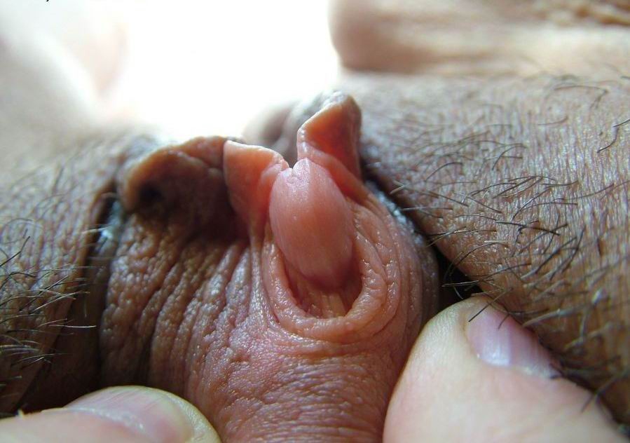 Clitoride e labbra della figa davvero enormi
 #73230576