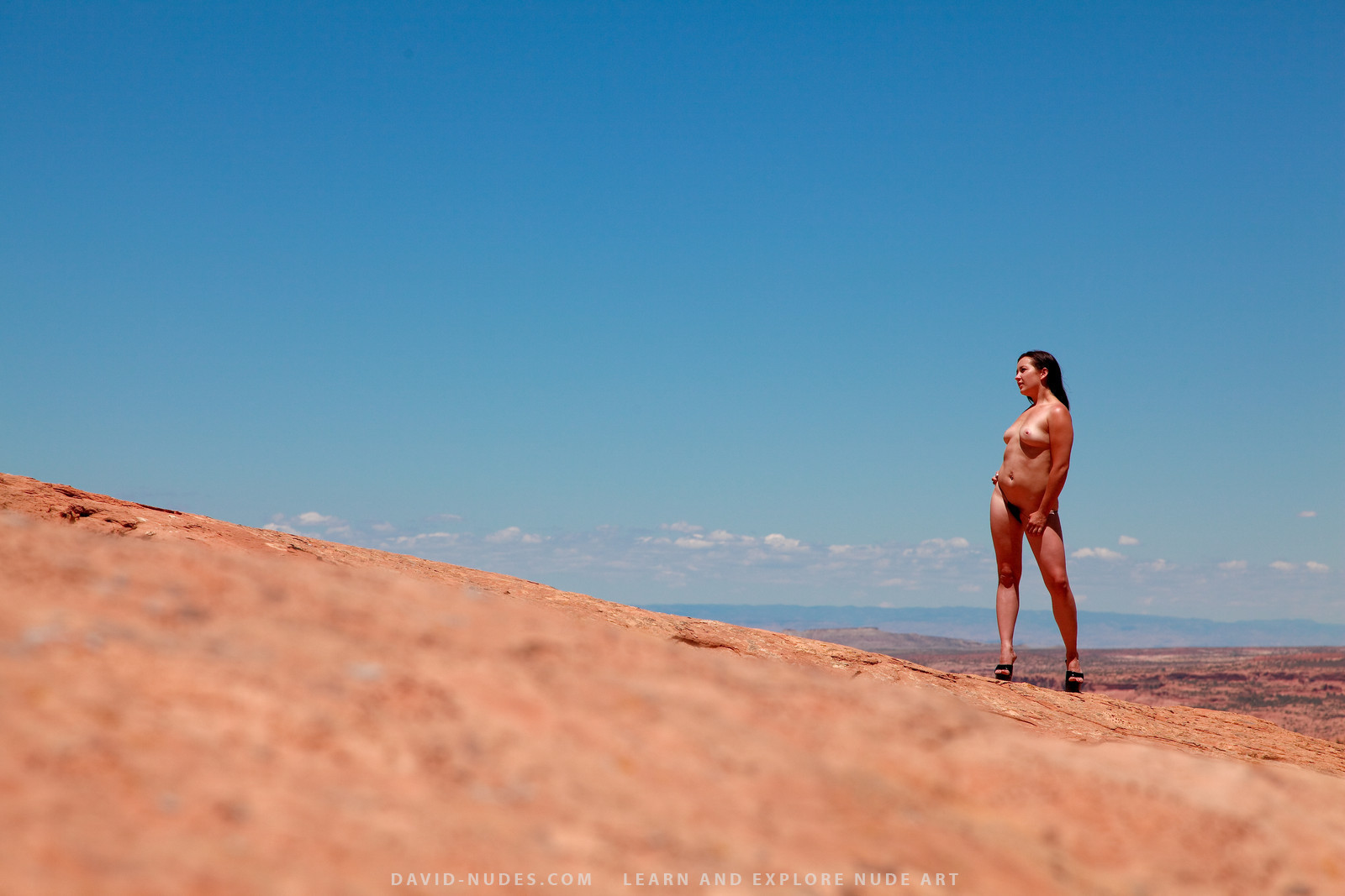 Felisha Round Earth #68213687