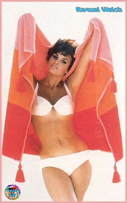 La légende hollywoodienne Raquel Welch en robe transparente et seins nus.
 #75349716