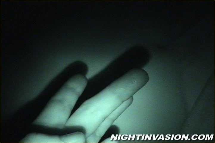 Notte ivnasion filmato in una stanza di pulcini addormentati
 #67464993