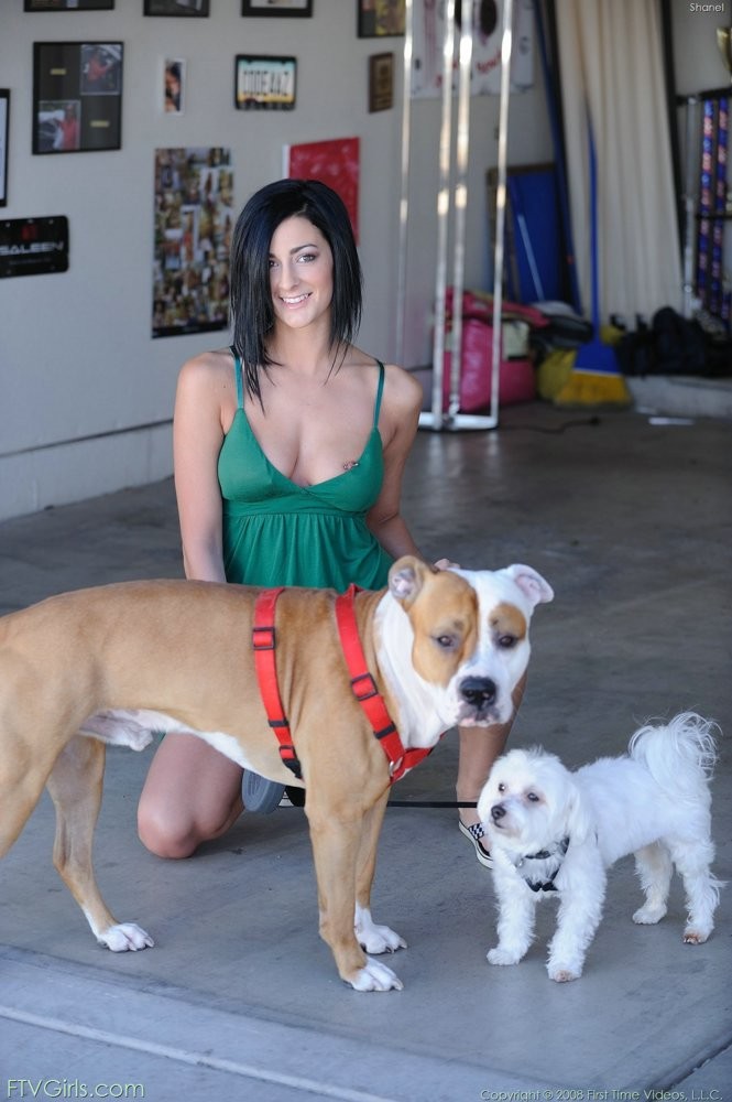 Una ragazza amatoriale cammina con i suoi due enormi cani all'aperto
 #67615570