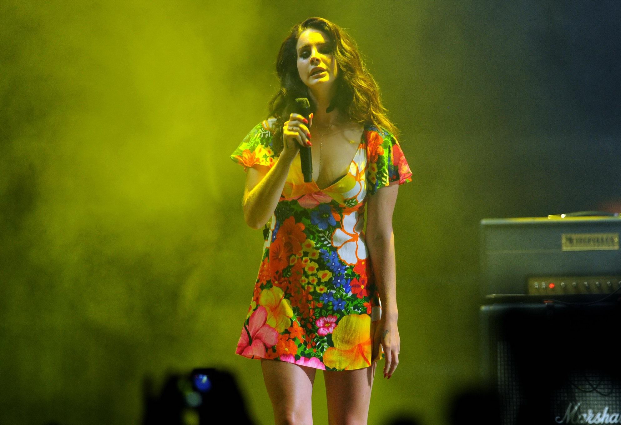 Lana Del Rey bra peek  upskirt while performing in summer mini dress at the 2014 #75196955