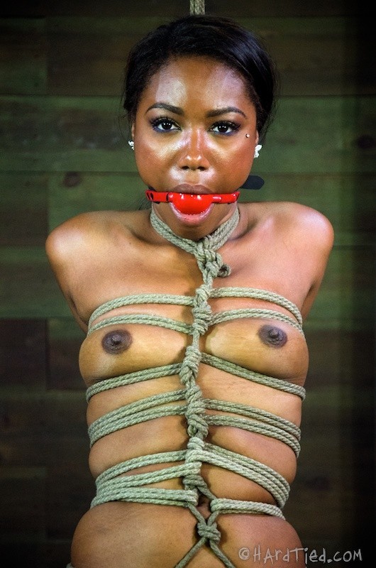 Chanell Heart ebony babe rope bound with ballgag #71955759