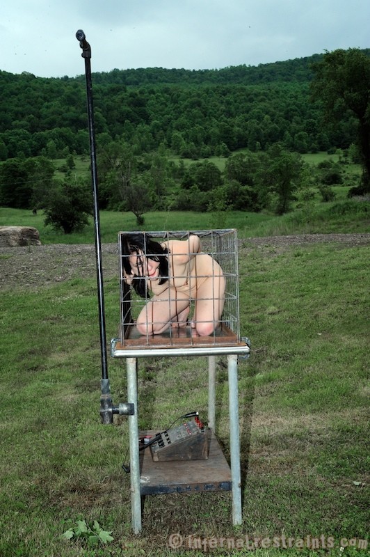 檻の中のジュリエット・マーチは、肛門洗浄され、セックスの前に乳房を縛られる。
 #72027303
