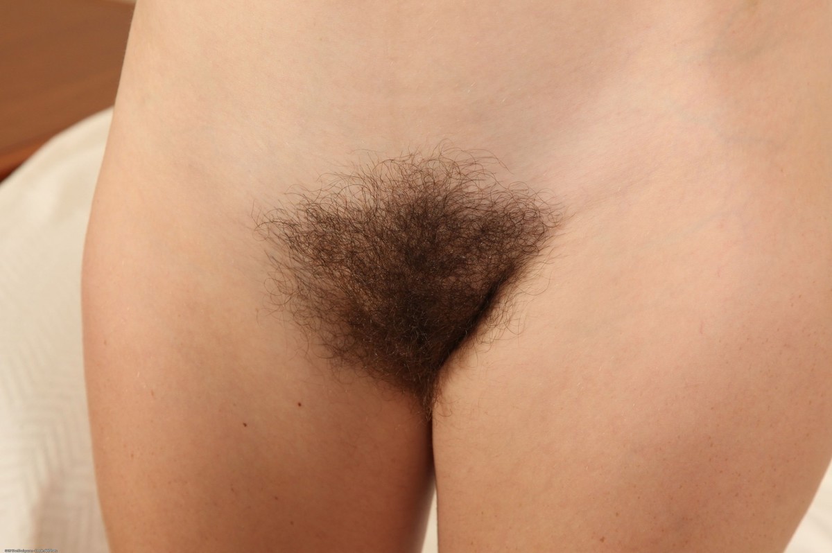 Hirsute amateur teen spreading hairy pussy #68125208