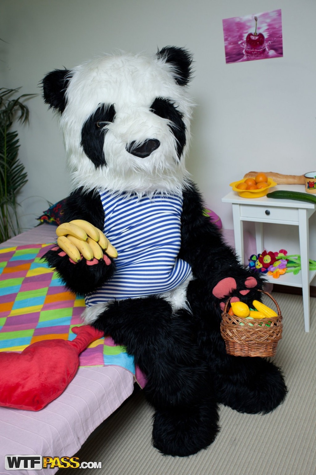 Panda sexy Spielzeug
 #76177292