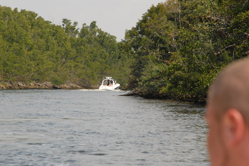 Und das tat sie auch. Schau zu, wie sie sein Deck abwischt und er ihren Kanal einschmiert und dann eintaucht 
 #73184063