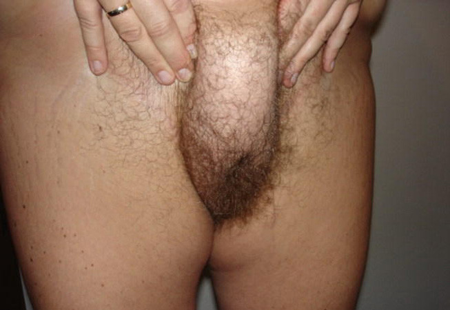 Feine Milfs und Erwachsene
 #77339978