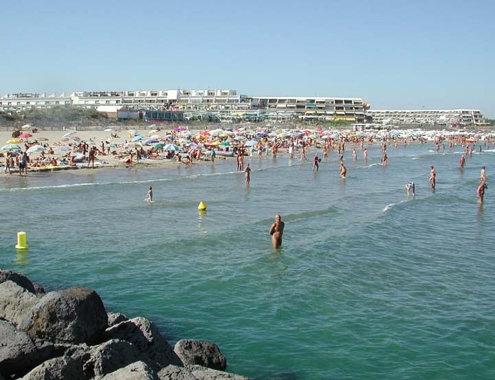 Unbelievable nudist pictures #72293458