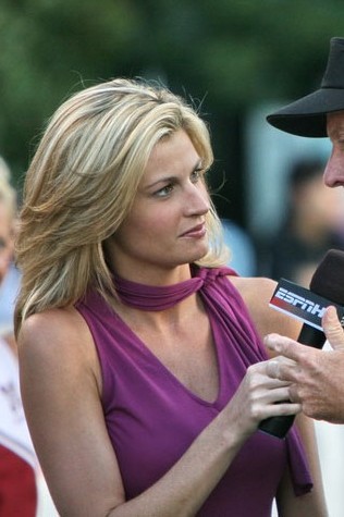 Erin andrews glamorous blonde newscaster hard at work
 #73786583