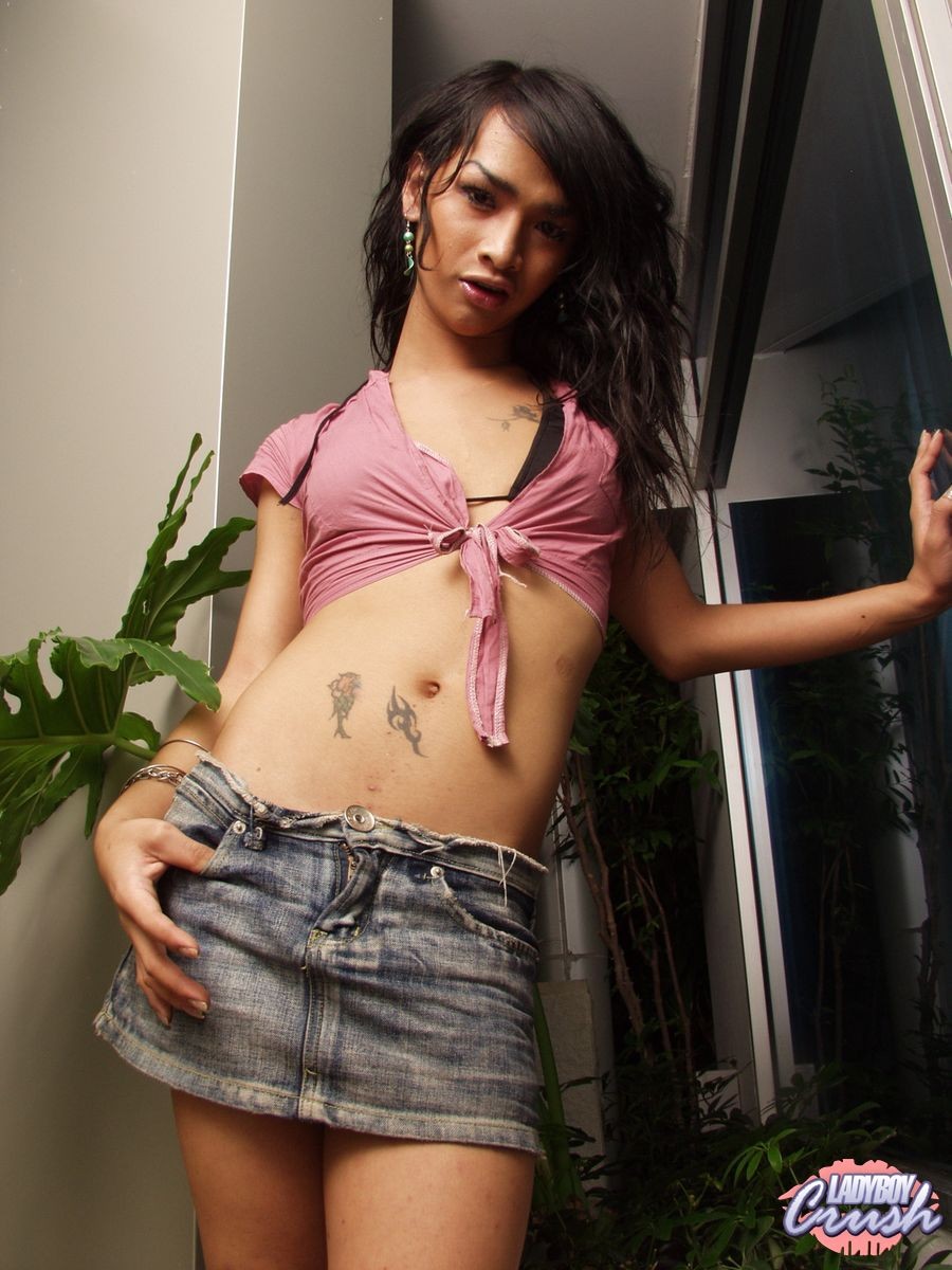 Ladyboy asiatique sexy avec une belle bite de transsexuel
 #79334735