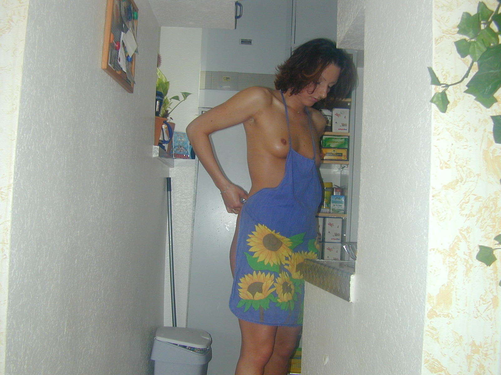 Nackte Hausfrau
 #68234328